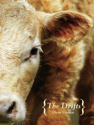 cover image of The Drifts